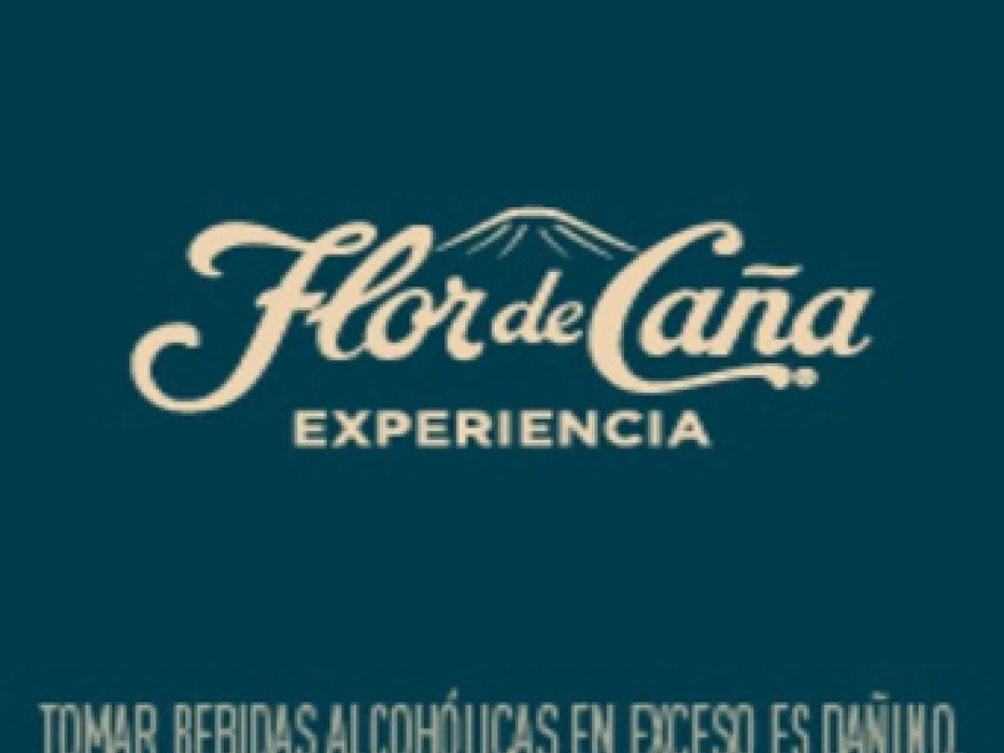 asdasa